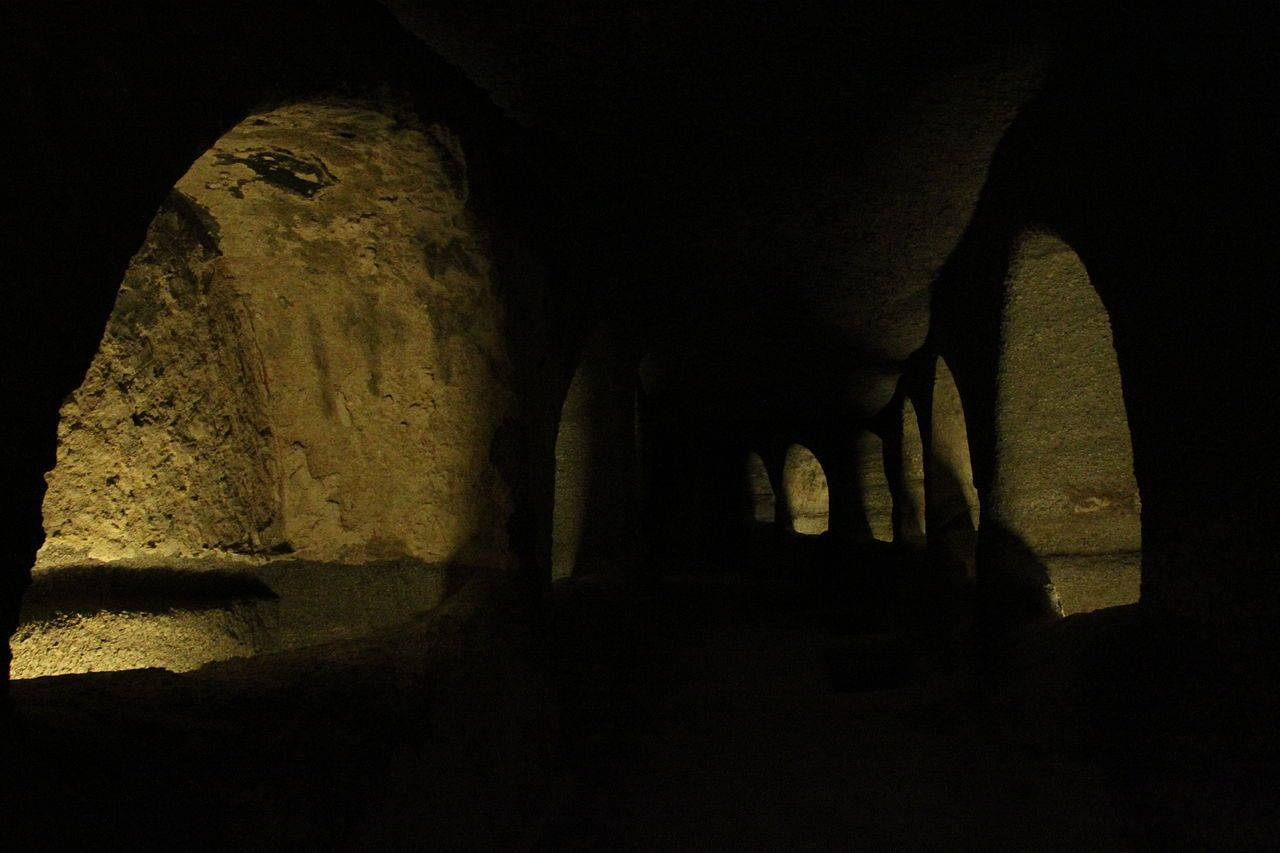 A sharp modern photo of a dark hallway with illuminated, curved niches lining the walls.